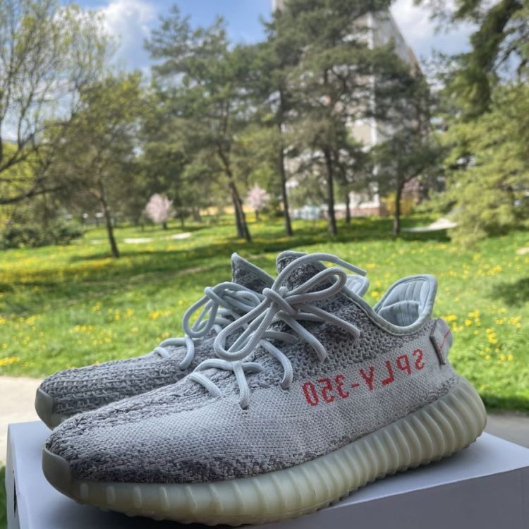 Yeezy 350 Blue Tint