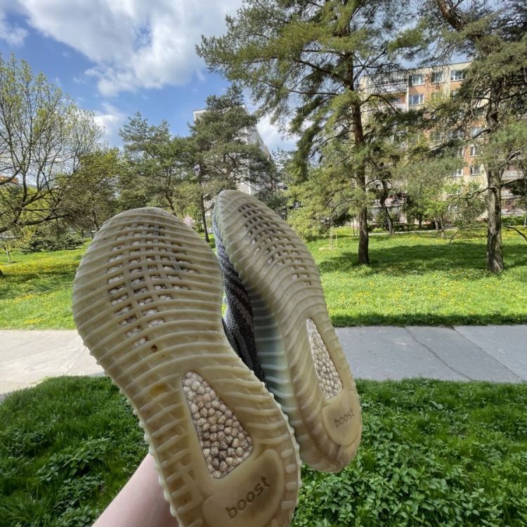Yeezy 350 Blue Tint