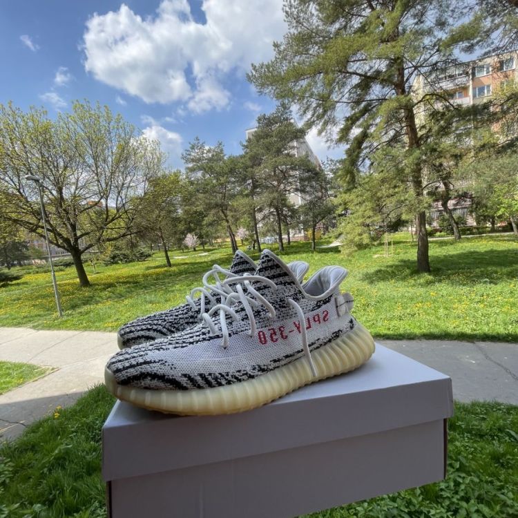 Yeezy 350 Zebra